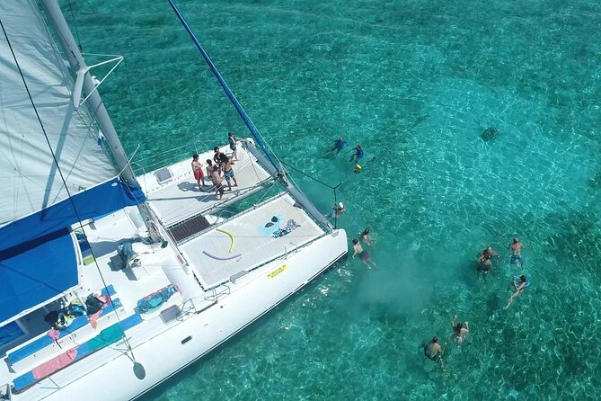 Full Day Catamaran Cruise on shared basis to Bénitiers Island - Dolphin watching with realistic expectations