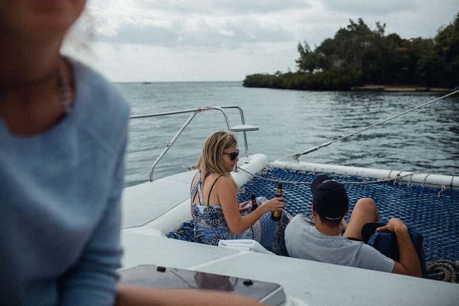 Full-day Catamaran Cruise to Ile aux Cerfs with Lunch - The Grand River South East Waterfall by Speedboat
