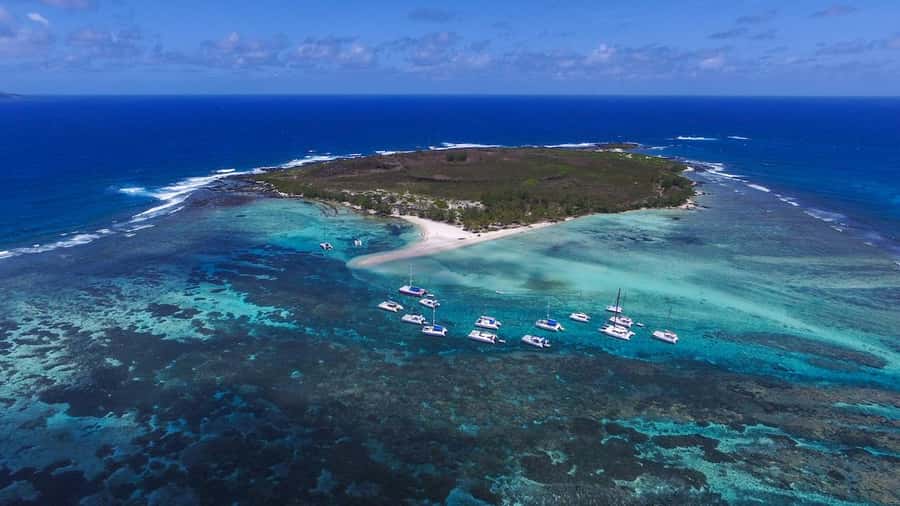 Full Day Catamaran Luxury Cruise to Northern Islands w Lunch - Barbecue lunch served on the boat