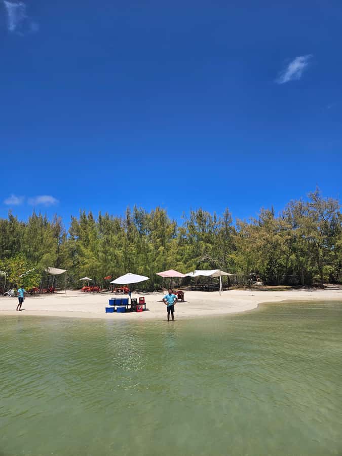FULL-DAY CATASPEED - East Lagoon cruise including transfer. - Who should book this East Coast experience