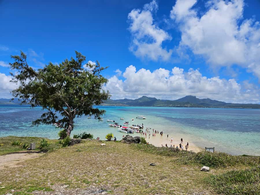 FULL-DAY CATASPEED - East Lagoon cruise including transfer. - Why the East Coast cruise works as a full-day outing