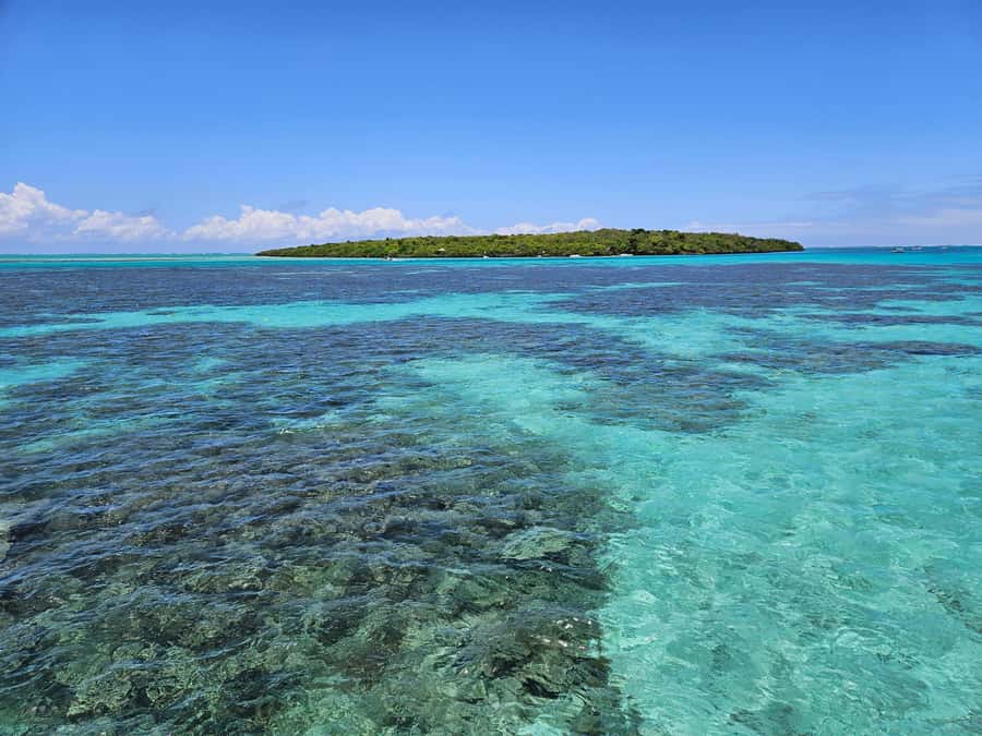 FULL-DAY CATASPEED - East Lagoon cruise including transfer. - Snorkeling at the aquarium stop