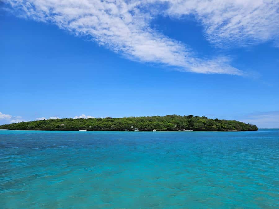 FULL-DAY CATASPEED - East Lagoon cruise including transfer. - Ile aux Cerfs: famous, useful, and not perfectly wild