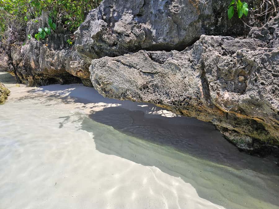 FULL-DAY CATASPEED - East Lagoon cruise including transfer. - What lunch and drinks add to the value