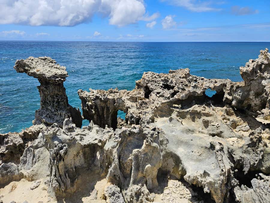FULL-DAY CATASPEED - East Lagoon cruise including transfer. - Starting at 7:00 with a private hotel transfer