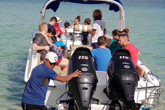 Full-Day Dolphin Watching Cruise in Mauritius - What the $132.46 price really covers