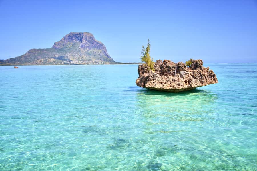 Full Day Dolphins Watching Ile aux Benitiers & Crystal Rock - Starting early at La Preneuse Beach
