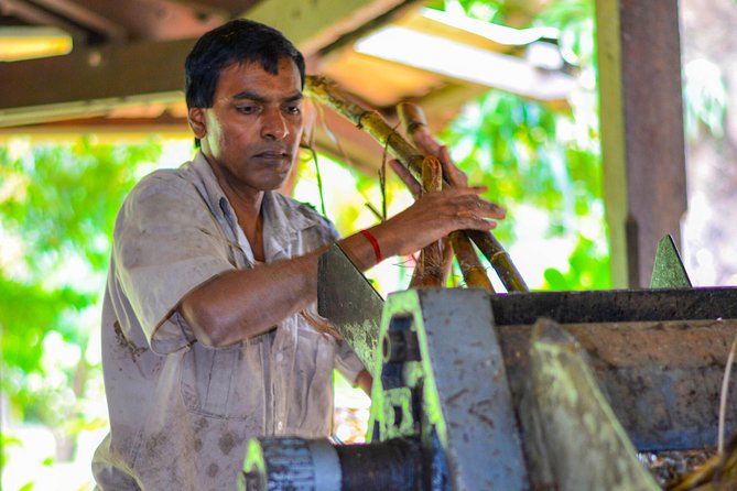 Full Day Guided Tea Route Mauritius: Including Lunch - Seeing how tea is made at Bois Cheri