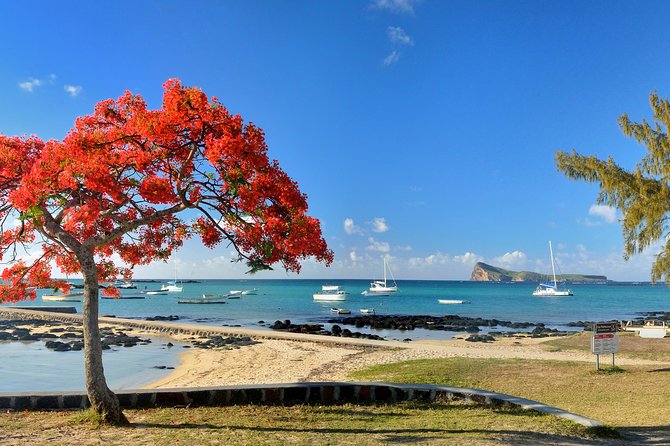 Full Day North Private Guided Tour Mauritius: including lunch - Why this northern Mauritius tour works