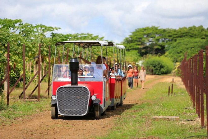 Full-Day North Tour of Mauritius, ALL INCLUSIVE Day Trip, Private SUV Car, Guide - Mont Choisy Beach offers a quick coastal pause