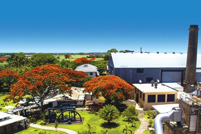 Full-Day North Tour of Mauritius, ALL INCLUSIVE Day Trip, Private SUV Car, Guide - Grand Baie shopping and duty-free details