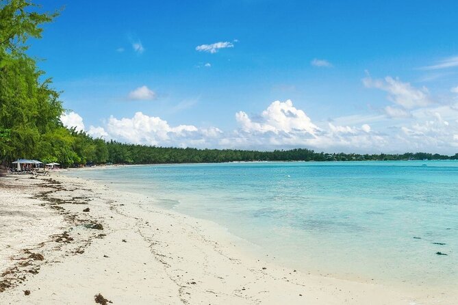 Full-Day North Tour of Mauritius, ALL INCLUSIVE Day Trip, Private SUV Car, Guide - Château De Labourdonnais and the old plantation world