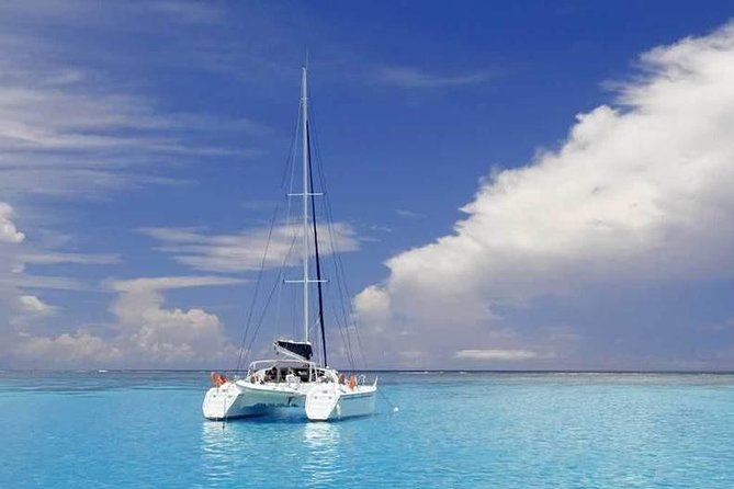 Full-Day Northern Catamaran Cruise: Coin de Mire and Ile Plate Island - Practical details that can save you trouble