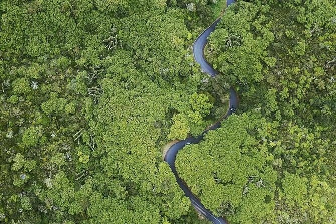 Full Day Private car only Guided SOUTH WEST of Mauritius - Alexandra Falls opens the southern view