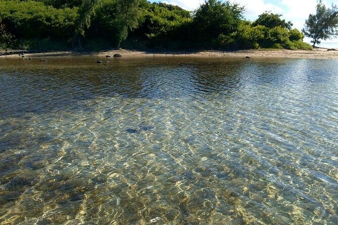 Full-Day Private Hiking le Morne Mountain & Seafood Lunch at Islet Fourneau - The first three hours on Le Morne’s lower trail