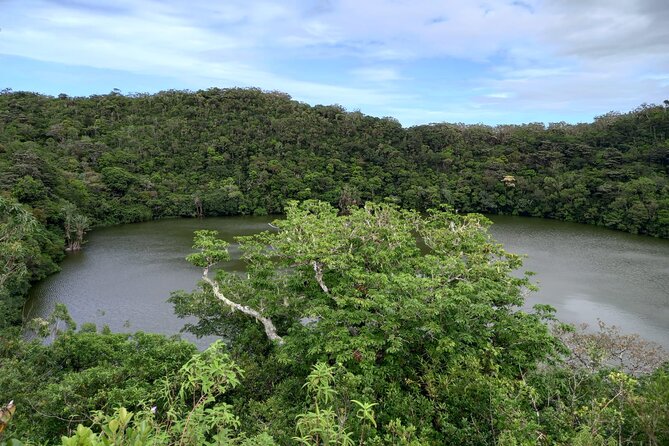 Full Day Private Tour in South of Mauritius - Grand Bassin and its sacred setting
