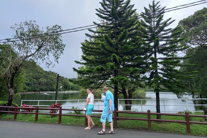 Full Day Private Tour in South of Mauritius - Curepipe and Floreal: shops in the middle of a nature tour