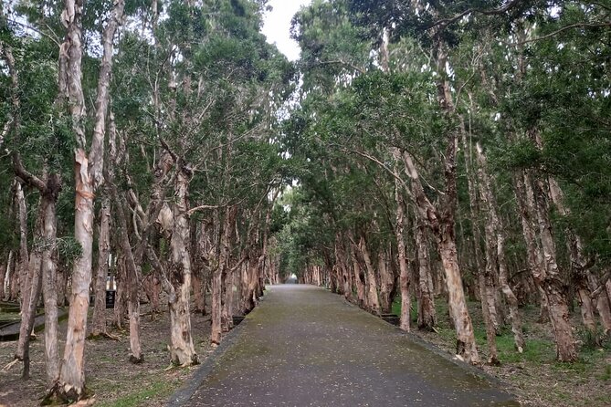 Full Day Private Tour in South of Mauritius - The private car, pickup, and driver experience