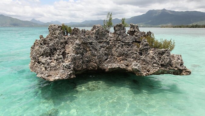 Full day Shared Speedboat Tour - South West Lagoon Dolphin Swim - Key points to know before booking
