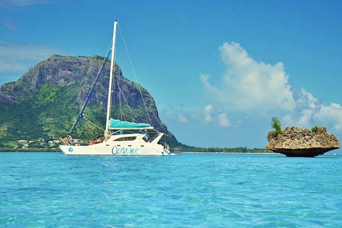Full day Shared Speedboat Tour - South West Lagoon Dolphin Swim - Who will enjoy this tour most