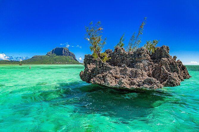 Full day Shared Speedboat Tour - South West Lagoon Dolphin Swim - Practical details that can save your morning