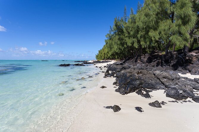 Full Day Shared Tour Catamaran to Ile Aux Cerfs - Crew service and the group atmosphere