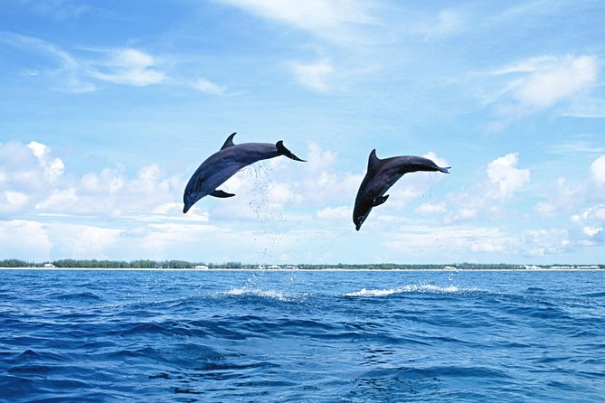Full-Day Swimming with Dolphins and Casela Nature Park Tour in Mauritius - Three hours at Casela World of Adventures