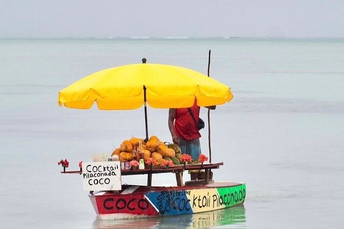 Fully Day Tour: Dolphin Encounters, Crystal Rock at Benitiers Island - Small Group Promise, Beachside Reality