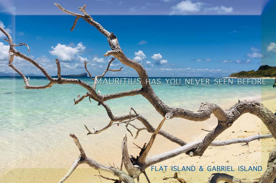 Grand Baie: Catamaran 3 Islands Cruise & Lunch on the Island - Crew, languages, and the mood onboard