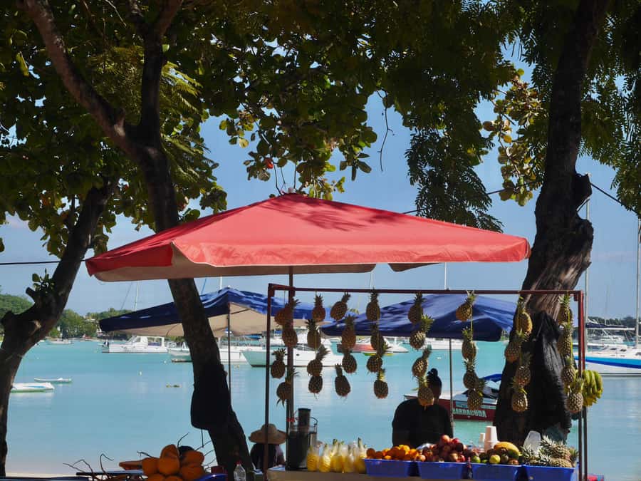 Grand Baie: Coastal Cuisine & Culture Walking Tour - Key points to know before you book