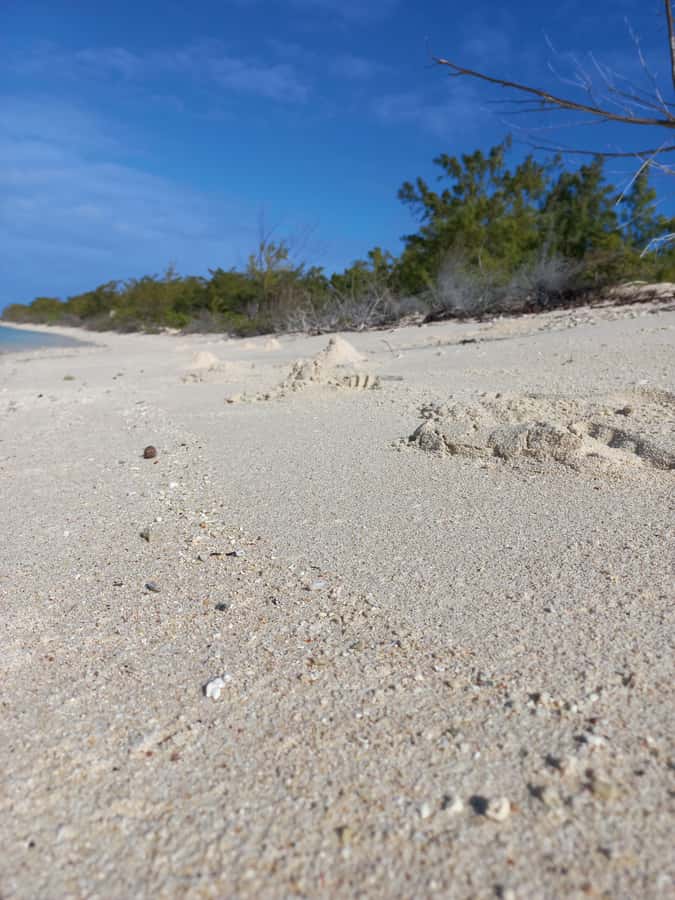 Grand Baie: Three Islands Private Boat Trip and Beach BBQ - What to bring and what to clarify