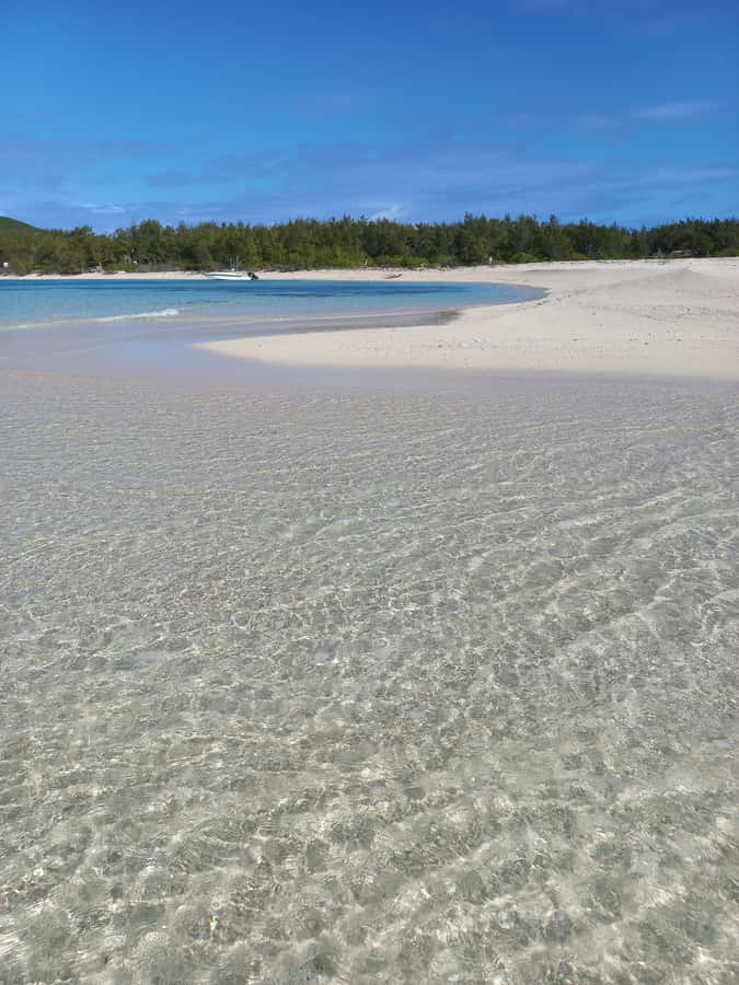Grand Baie: Three Islands Private Boat Trip and Beach BBQ - Who will enjoy this trip most?