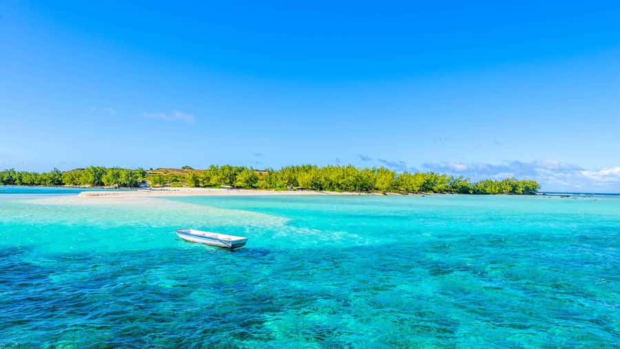 Grand Bay: Catamaran Cruise to Flat Island with BBQ Lunch - Swimming and snorkeling around Coin de Mire