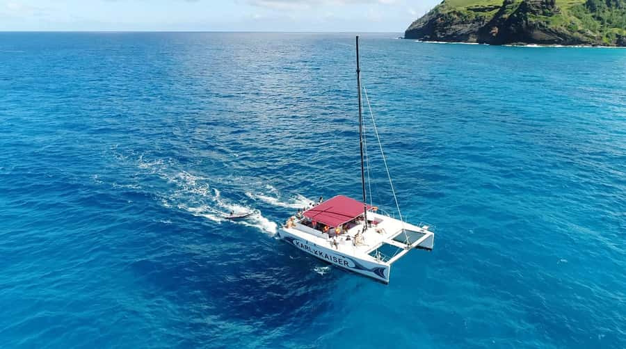 Grand Bay: Catamaran Cruise to Flat Island with BBQ Lunch - The BBQ lunch and drinks