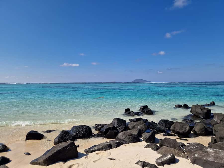 Grand Bay: Catamaran Cruise to Flat Island with BBQ Lunch - How to prepare for the departure