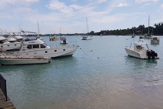 Grand Bay Food Tour - Four or five venues, with enough food for lunch