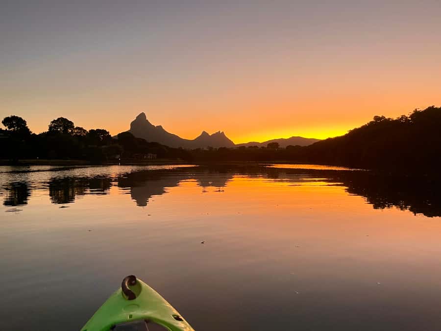 Guided Sundowner Kayak Tour - What you may see along the river
