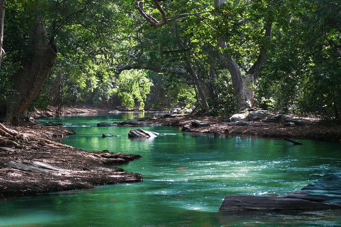 Hiking in the Black River Gorges National Parc - Native Forest - Cooling off in the Black River
