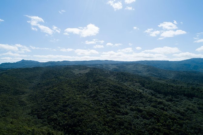 Hiking in the Black River Gorges National Parc - Native Forest - Who will enjoy this hike most