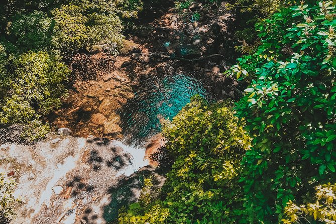 Hiking in the Black River Gorges National Parc - Native Forest - What the $61.65 price covers
