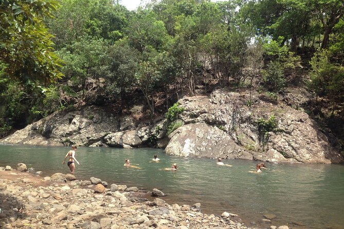 Hiking the Black River Gorges: Full-day with Lunch and Transfer - The guide and the private-tour advantage