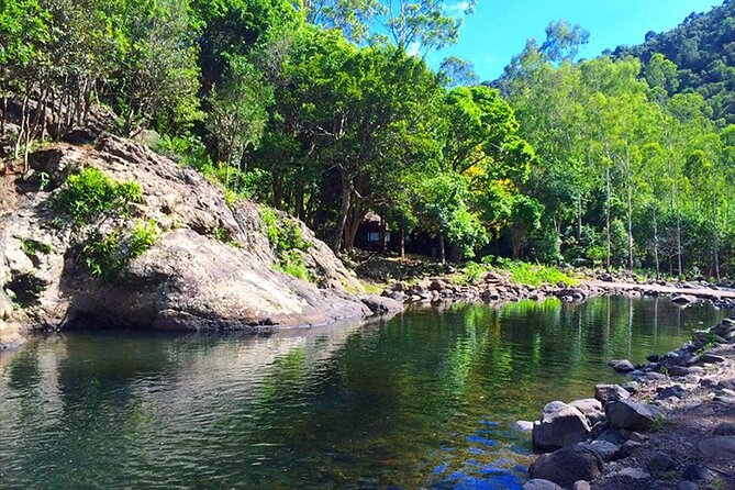 Hiking the Black River Gorges: Full-day with Lunch and Transfer - The first two hours on the forest trail