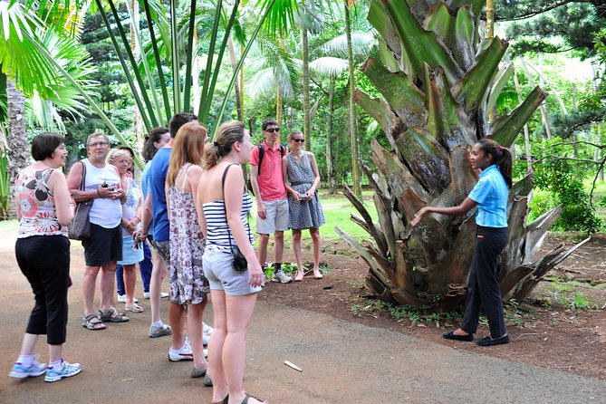 Historical Guided Day Tour : City - Sugar World - Botanical Garden - L’Aventure du Sucre and the story behind the sweet crop
