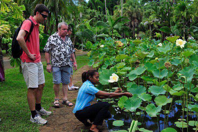 Historical Private Guided Tour, City-SugarWorld-Botanical Garden - Min.2 persons - Citadel Fort Adelaide above Port Louis