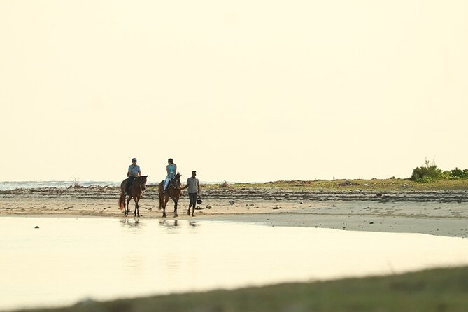 Horse Riding experience by Haras du Morne - First, clear up the horse-riding question
