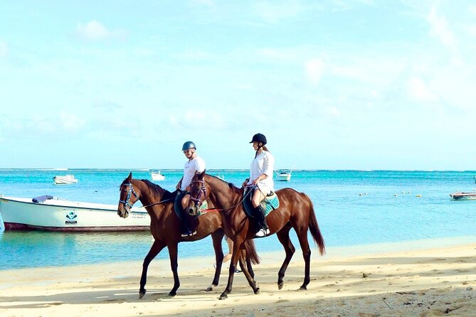 Horse Riding experience by Haras du Morne - Trou aux Cerfs gives you a high viewpoint over Curepipe