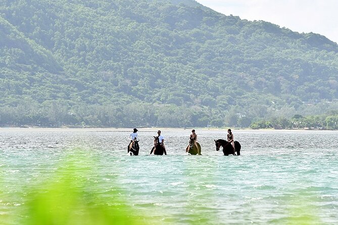 Horse Riding experience by Haras du Morne - Le Morne connects scenery with the island’s past