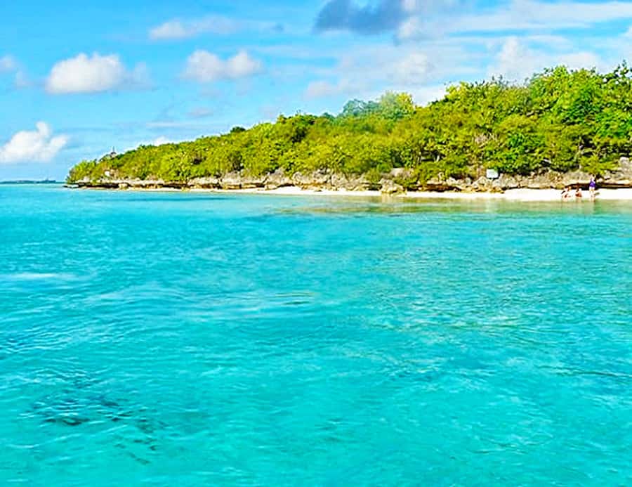 Ile aux Aigrettes Reserve & Blue Bay Glass Bottom Boat - How to make the day run better