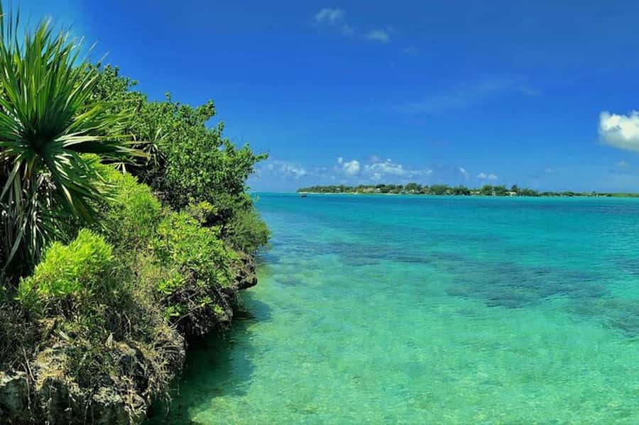 Ile aux Aigrettes Reserve & Blue Bay Glass Bottom Boat - The boat transfer can shape the whole day