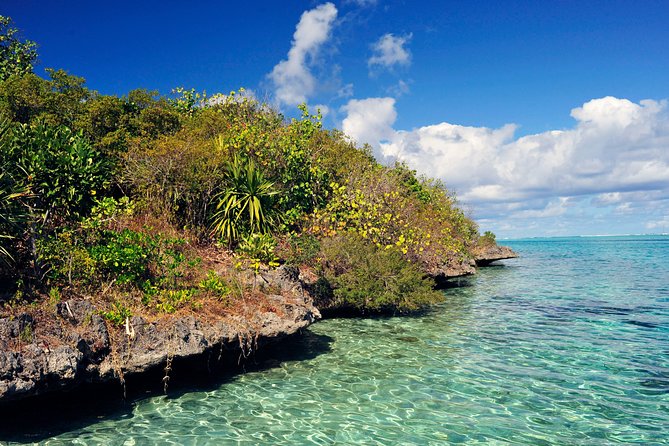 Ile aux Aigrettes - Tea Route - Gris Gris Private Guided Tour (Min. 2 persons) - Why this southern Mauritius route works